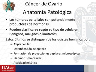 Anatomía Patológica
• Los tumores epiteliales son potencialmente
productores de hormonas.
• Pueden clasificarse según su tipo de celula en
Benignos, malignos o limitrofes.
Estos últimos se distinguen de los quistes benignos por:
– Atipia celular
– Estratificación de epitelio
– Formación de proyecciones papilares microscópicas
– Pleomorfismo celular
– Actividad mitótica
Cáncer de Ovario
 