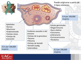 Cordones sexuales o del
estroma
•Celulas de la granulosa
•Tecoma
•Fibroma
•Celulas de Sertolli
•Sertolli-Leydig
•esteroideas
Epiteliales
•Seroso
•Mucinoso
•Endometroide
•Celulas claras
•Celulas de
transición
Celulas germinales
•Disgerminoma
•Saco vitelino
•Carcinoma
embrionario
•Corciocarcinoma
•Teratoma
15.5 por 100,000
mujeres 0.2 por 100,000
mujeres
0.4 por 100,000
mujeres
Puede originarse a partir de
3 tipos celulares:
 
