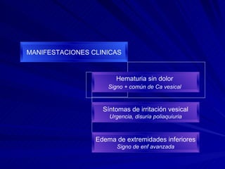 MANIFESTACIONES CLINICAS Hematuria sin dolor  Signo + común de Ca vesical   Síntomas de irritación vesical Urgencia, disuria poliaquiuria Edema de extremidades inferiores Signo de enf avanzada 