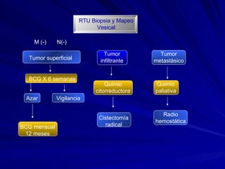 RTU Biopsia y Mapeo Vesical Tumor superficial BCG X 6 semanas Azar Vigilancia BCG mensual 12 meses Tumor infiltrante Quimio citorreductora Cistectomía radical Tumor metastásico Quimio paliativa Radio hemostática M (-)  N(-) 