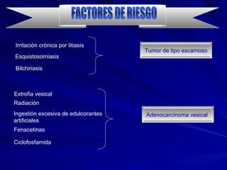 FACTORES DE RIESGO Irritación crónica por litiasis Esquistosomiasis Bilchiriasis Extrofia vesical Adenocarcinoma vesical Radiación  Ingestión excesiva de edulcorantes artificiales Tumor de tipo escamoso Fenacetinas Ciclofosfamida 