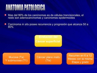 Mas del 90% de los carcinomas es de células trancisionales, el resto son adenocarcinomas y carcinomas epidermoides Carcinoma  in situ  posee recurrencia y progresión que alcanza 50 a 80% ANATOMIA PATOLOGICA Evolución del Cáncer superficial   Mucosa (Ta) Y submucosa (T1) Cáncer plano  insitu (Tis) Recurren en 6 a 12 Meses con la misma Etapa y grado 