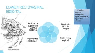 EXAMEN RECTOVAGINAL
BIDIGITAL
Evaluar las
superficies
uterina
posterior
Fondo de
saco de
Douglas
Ligamentos
cardinales
Septo recto
vaginal
Px. Pueden
prsentar
adenopatías
supraclaviculares,
inguinales,
axilares
 