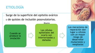 ETIOLOGÍA
o Surge de la superficie del epitelio ovárico
o O de quistes de inclusión posovulatorios.
Ocurre
Cuando se
produce la
ovulación
Las células
epiteliales del
ovario son
interiorizadas y
dañadas
Los mecanismo de
reparación dan
lugar a células
con un mayor
riesgo de
desarrollar
mutaciones y
neoplasias
 