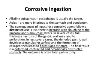 Corrosive ingestion 
• Alkaline substances – oesophagus is usually the target. 
• Acids - are more injurious to the stomach and duodenum. 
• The consequences of ingesting a corrosive agent follow a 
distinct course. First, there is necrosis with sloughing of the 
mucosal and submucosal layers. In severe cases, full-thickness 
necrosis of the gastric wall may lead to 
perforation. In less severe cases, the denuded gastric wall 
develops a granulating surface and the formation of 
collagen then leads to fibrosis and stricture. The final result 
is a deformed, contracted and occasionally obstructed 
stomach. The outcome is often total gastrectomy. 
 