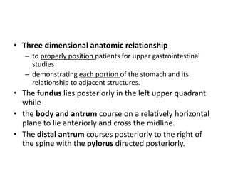 • Three dimensional anatomic relationship 
– to properly position patients for upper gastrointestinal 
studies 
– demonstrating each portion of the stomach and its 
relationship to adjacent structures. 
• The fundus lies posteriorly in the left upper quadrant 
while 
• the body and antrum course on a relatively horizontal 
plane to lie anteriorly and cross the midline. 
• The distal antrum courses posteriorly to the right of 
the spine with the pylorus directed posteriorly. 
 