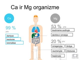 Ca ir Mg organizme
99 %
dantyse
kremzlėse
kauluose
Ca
53 %
dentine ir emalyje
kauliniame audinyje
Mg
20 %
širdyjesmegenyse
raumenyse inkstuose
kepenyse
yra:
yra:
yra:
 