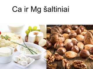 Ca ir Mg šaltiniai
 
