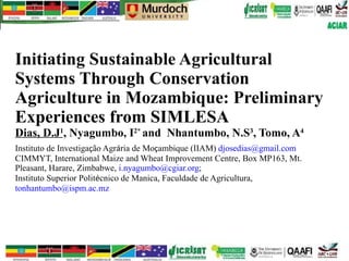 Initiating Sustainable Agricultural Systems Through Conservation Agriculture in Mozambique: Preliminary Experiences from SIMLESA Dias, D.J 1 , Nyagumbo, I 2*  and  Nhantumbo, N.S 3 , Tomo, A 4 Instituto de Investiga ç ão Agr á ria de Mo ç ambique (IIAM)  [email_address] CIMMYT, International Maize and Wheat Improvement Centre, Box MP163, Mt. Pleasant, Harare, Zimbabwe,  [email_address] ; Instituto Superior Polit é cnico de Manica, Faculdade de Agricultura,  [email_address] 
