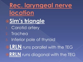 Innervation: 