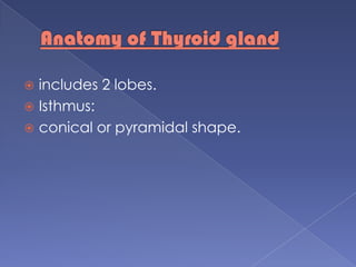 Anatomy of Thyroid gland includes 2 lobes.Isthmus: conical or pyramidal shape.
