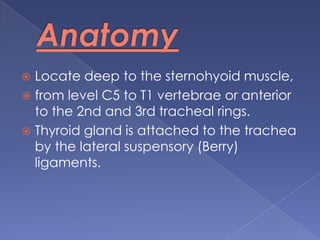 AnatomyLocate deep to the sternohyoid muscle, from level C5 to T1 vertebrae or anterior to the 2nd and 3rd tracheal rings.Thyroid gland is attached to the trachea by the lateral suspensory (Berry) ligaments.