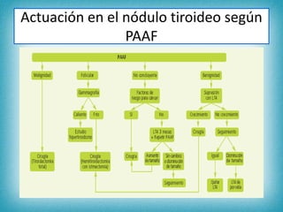 Actuación en el nódulo tiroideo según
PAAF
 