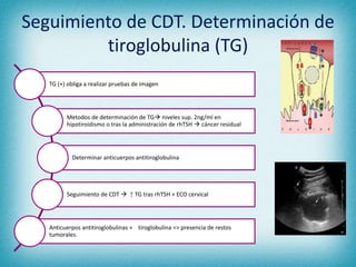 Seguimiento de CDT. Determinación de
tiroglobulina (TG)
TG (+) obliga a realizar pruebas de imagen
Metodos de determinación de TG niveles sup. 2ng/ml en
hipotiroidismo o tras la administración de rhTSH  cáncer residual
Determinar anticuerpos antitiroglobulina
Seguimiento de CDT  ↑ TG tras rhTSH + ECO cervical
Anticuerpos antitiroglobulinas + tiroglobulina => presencia de restos
tumorales.
 