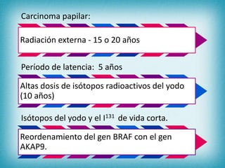 Carcinoma papilar:
Radiación externa - 15 o 20 años
Período de latencia: 5 años
Altas dosis de isótopos radioactivos del yodo
(10 años)
Isótopos del yodo y el I131 de vida corta.
Reordenamiento del gen BRAF con el gen
AKAP9.
 