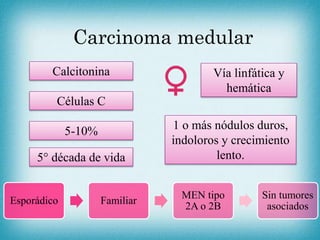 Carcinoma medular
5-10%
Calcitonina
Esporádico Familiar
MEN tipo
2A o 2B
Sin tumores
asociados
Células C
5° década de vida
1 o más nódulos duros,
indoloros y crecimiento
lento.
Vía linfática y
hemática
 