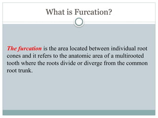 What is Furcation?
The furcation is the area located between individual root
cones and it refers to the anatomic area of a multirooted
tooth where the roots divide or diverge from the common
root trunk.
 
