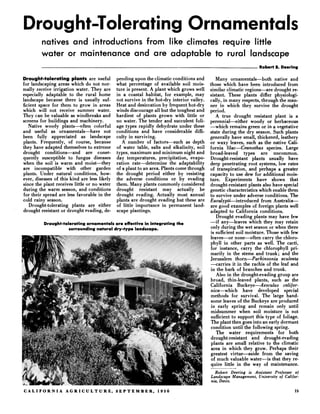 Drouaht-Toleratina Ornamentals
                    U                                                   u          ~                               ~         ~-~         -


         natives and introductions from like climates require little
         water o maintenance and are adaptable to rural landscape
                r
                                                                                                                       Robert 5. Deering

Drought-tolerating plants are useful          pending upon the climatic conditions and         Many ornamentals-both             native and
for landscaping areas which do not nor-       what percentage of available soil mois-       those which have been introduced from
mally receive irrigation water. They are      ture is present. A plant which grows well     similar climatic regions-are drought re-
especially adaptable to the rural home        in a coastal habitat, for example, may        sistant. These plants differ physiologi-
landscape because there is usually suf-       not survive in the hot-dry interior valley.   cally, in many respects, through the man-
ficient space for them to grow in areas       Heat and desiccation by frequent hot-dry      ner in which they survive the drought
which will not receive summer water.          winds discourage all but the toughest and     period.
They can be valuable as windbreaks and        hardiest of plants grown with little or          A true drought resistant plant is a
screens for buildings and machinery.          no water. The tender and succulent foli-      perennial-ither          woody or herbaceous
   Native woody plants-often colorful         age types rapidly dehydrate under these       -which remains green or in a vegetative
and useful as ornamentals-have          not   conditions and have considerable diffi-       state during the dry season. Such plants
been fully appreciated as landscape           culty in surviving.                           generally have small, thickened, leathery
plants. Frequently, of course, because           A number of factors-such as depth          or waxy leaves, such as the native Cali-
they have adapted themselves to extreme       of water table, salts and alkalinity, soil    fornia lilac-Ceanothus species. Large
drought conditions-and          are conse-    types, maximum and minimum night and          broad-leaved types are uncommon.
quently susceptible to fungus diseases        day temperatures, precipitation, evapo-       Drought-resistant plants usually have
when the soil is warm and moist-they          ration rate-determine      the adaptability   deep penetrating root systems, low rates
are incompatible with other garden            of a plant to an area. Plants come through    of transpiration, and perhaps a greater
plants. Under natural conditions, how-        the drought period either by resisting        capacity to use dew for additional mois-
ever, diseases of this kind are less likely   the adverse conditions or by evading          ture. Experiments have shown that
since the plant receives little or no water   them. Many plants commonly considered         drought-resistant plants also have special
during the warm season, and conditions        drought resistant may actually be             genetic characteristics which enable them
for their spread are less favorable in the    drought evading. Actually most annual         to survive under adverse conditions. The
cold rainy season.                            plants are drought evading but these are      Eucalypti-introduced from Australia-
   Drought-tolerating plants are either       of little importance in permanent land-       are good examples of foreign plants well
drought resistant or drought evading, de-     scape plantings.                              adapted to California conditions.
                                                                                                Drought evading plants may have few
          Drought-toleratingornamentals are effective in integrating the                    -if any-leaves which they may retain
                    surrounding natural dry-type landscape.                                 only during the wet season or when there
                                                                                            is sufficient soil moisture. Those with few
                                                                                            leaves-or none-often carry the chloro-
                                                                                            phyll in other parts as well. The cacti,
                                                                                            for instance, carry the chlorophyll pri-
                                                                                            marily in the stems and trunk; and the
                                                                                            Jerusalem thorn-Parkinsonia             aculeata
                                                                                            - c a r r i e s it in the rachis of the leaf and
                                                                                            in the bark of branches and trunk.
                                                                                                Also in the drought-evading group are
                                                                                            broad, thin-leaved plants, such as the
                                                                                            California Buckeye-Aesculus              calijor-
                                                                                            nica-which            have developed special
                                                                                            methods for survival. The large hand-
                                                                                            some leaves of the Buckeye are produced
                                                                                             in early spring and remain only until
                                                                                             midsummer when soil moisture is not
                                                                                             sufficient to support this type of foliage.
                                                                                             The plant then goes into an early dormant
                                                                                            condition until the following spring.
                                                                                                The water requirements for both
                                                                                            drought-resistant and drought-evading
                                                                                             plants are small relative to the climatic
                                                                                             area in which they grow. Perhaps their
                                                                                            greatest virtue-aside          from the saving
                                                                                             of much valuable water-is that they re-
                                                                                            quire little in the way of maintenance.
                                                                                              Robert Deering is Assistant Professor 01
                                                                                            Landscape Management, University of Califor-
                                                                                            nia. Davis.

CALI FOR N I A A G R I C U L T U R E , SEPTEMBER, 1956                                                                                    15
 