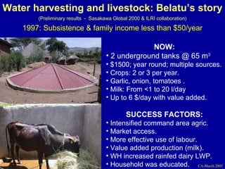 Investment options for integrating water management and crop and livestock production in sub-Saharan Africa