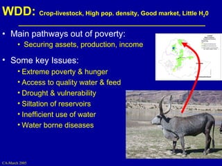 Investment options for integrating water management and crop and livestock production in sub-Saharan Africa