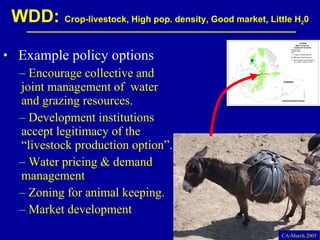 Investment options for integrating water management and crop and livestock production in sub-Saharan Africa
