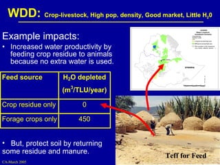 Investment options for integrating water management and crop and livestock production in sub-Saharan Africa