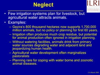 Investment options for integrating water management and crop and livestock production in sub-Saharan Africa
