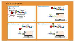 Amino acid sequencing | PPTX
