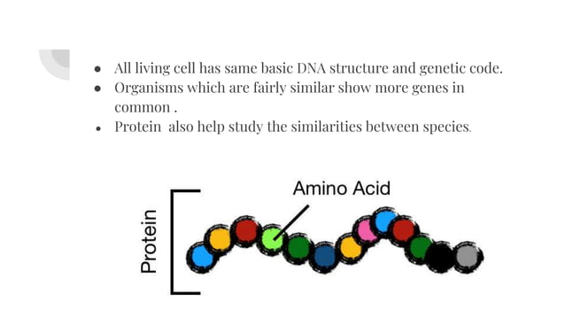 Amino acid sequencing | PPTX
