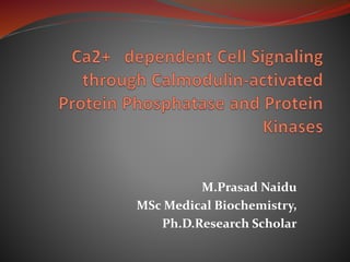 M.Prasad Naidu
MSc Medical Biochemistry,
Ph.D.Research Scholar
 