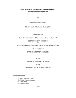 ROLE OF NCX1 IN EPICARDIAL CALCIUM DYNAMICS
AND ELECTRICAL SIGNALING
By:
Azadé Dominiqué Petrosky
B.S. (University of California, Merced) 2008
DISSERTATION
Submitted in satisfaction of the requirements for the degree of
DOCTORATE OF PHILOSOPHY
in
BIOLOGICAL ENGINEERING AND SMALL-SCALE TECHNOLOGIES
with an emphasis in
CARDIAC ELECTROPHYSIOLOGY
in the
OFFICE OF GRADUATE STUDIES
of the
UNIVERSITY OF CALIFORNIA, MERCED
Committee Advised:
Dr. Wei-Chun Chin, Chair
Dr. Ariel L. Escobar, Advisor
Dr. Linda Hirst
Dr. Nestor Oviedo
2013
 