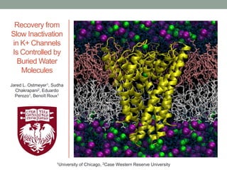 Recovery from
Slow Inactivation
in K+ Channels
Is Controlled by
Buried Water
Molecules
Jared L. Ostmeyer1, Sudha
Chakrapani2, Eduardo
Perozo1, Benoît Roux1
1University of Chicago, 2Case Western Reserve University
 
