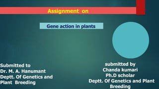 Gene action in plants
Submitted to
Dr. M. A. Hanumant
Deptt. Of Genetics and
Plant Breeding
submitted by
Chanda kumari
Ph.D scholar
Deptt. Of Genetics and Plant
Breeding
Assignment on
 