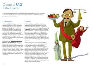 14
O que a FAO
está a fazer
A FAO trabalha arduamente para melhorar a nutrição e assegurar que todos, em todas
as partes do mundo, têm uma dieta saudável. Ela trabalha para melhorar a nutrição
principalmente de três modos:
2. Cultivo
A FAO trabalha com agricultores e produtores
para desenvolver uma estratégia de cultivo e
produção de alimentos nutritivos , que tem um
nome um pouco complicado: “agricultura sensível
à nutrição”. Basicamente isso significa cultivar e
produzir alimentos nutritivos suficientes. Um bom
planeamento com os governos e legisladores
significa que estes alimentos são depois postos
à disposição de todos os que deles necessitam,
especialmente crianças. Postos à disposição
significa que se podem encontrar facilmente e que
não são demasiado caros, para todos os poderem
comprar.
Além de fazer com que os alimentos nutritivos
estejam mais facilmente à disposição de todos,
a FAO também afirma que precisamos de
mais escolhas nutritivas, o que significa que os
agricultores devem cultivar alimentos diferentes
para não dependermos todos do mesmo tipo de
alimentos para nos mantermos saudáveis. Isso
também significa que nalguns casos os alimentos
podem ser enriquecidos para os TORNAR mais
nutritivos, por exemplo, melhorando a saúde
do solo em que crescem. E, finalmente... não te
esqueças de que o modo como os alimentos são
cultivados é realmente importante! Este modo de
agricultura também significa cultivar mais, embora
usando menos recursos naturais.
1. Planeamento
A FAO trabalha com os governos e as
pessoas que fazem as políticas e as leis
(legisladores) para assegurar que eles
pensam na nutrição. Se a nutrição for
incluída nos planos de um país, é mais
fácil prevenir contra a má nutrição e a
maioria de outros problemas causados
por dietas não saudáveis. Deste modo
também é mais fácil apoiar os agricultores
e produtores, para assegurar que os
alimentos que eles cultivam ou processam
são mais nutritivos.
Lembras-te das “orientações dietéticas
baseadas em alimentos” do teu país?
Esta é outra maneira pela qual a FAO se
esforça por melhorar a nutrição e divulgar
hábitos alimentares saudáveis. A FAO fá-lo
trabalhando com mais de 100 governos
em todo o mundo, para os orientar e ajudar
a decidir o que é uma dieta saudável no
seu país e para criar ferramentas que as
pessoas possam utilizar para melhorar as
suas dietas.
 