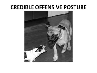 CREDIBLE OFFENSIVE POSTURE
 
