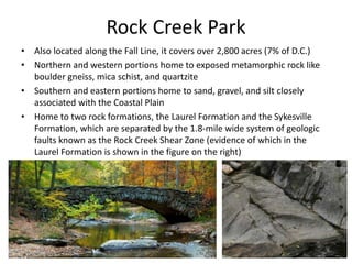 Rock Creek Park
• Also located along the Fall Line, it covers over 2,800 acres (7% of D.C.)
• Northern and western portions home to exposed metamorphic rock like
boulder gneiss, mica schist, and quartzite
• Southern and eastern portions home to sand, gravel, and silt closely
associated with the Coastal Plain
• Home to two rock formations, the Laurel Formation and the Sykesville
Formation, which are separated by the 1.8-mile wide system of geologic
faults known as the Rock Creek Shear Zone (evidence of which in the
Laurel Formation is shown in the figure on the right)
 