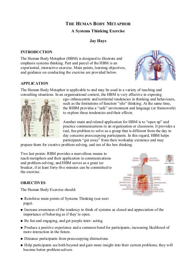 Hays HUMAN BODY METAPHOR