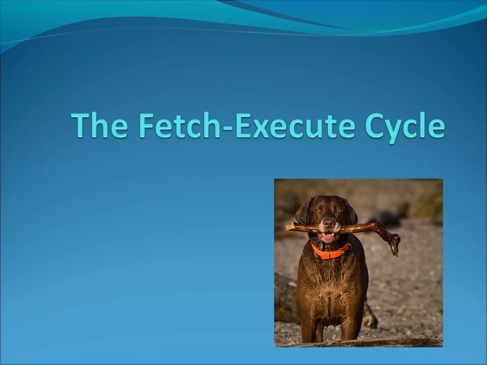 Fetch-execute Cycle | PPT