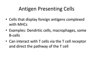 Antigen Presenting Cells
• Cells that display foreign antigens complexed
with MHCs
• Examples: Dendritic cells, macrophages, some
B-cells
• Can interact with T cells via the T cell receptor
and direct the pathway of the T cell
 