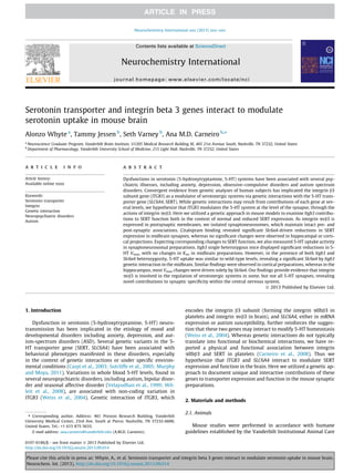 Serotonin transporter and integrin beta 3 genes interact to modulate
serotonin uptake in mouse brain
Alonzo Whyte a
, Tammy Jessen b
, Seth Varney b
, Ana M.D. Carneiro b,⇑
a
Neuroscience Graduate Program, Vanderbilt Brain Institute, U1205 Medical Research Building III, 465 21st Avenue South, Nashville, TN 37232, United States
b
Department of Pharmacology, Vanderbilt University School of Medicine, 215 Light Hall, Nashville, TN 37232, United States
a r t i c l e i n f o
Article history:
Available online xxxx
Keywords:
Serotonin transporter
Integrin
Genetic interaction
Neuropsychiatric disorders
Autism
a b s t r a c t
Dysfunctions in serotonin (5-hydroxytryptamine, 5-HT) systems have been associated with several psy-
chiatric illnesses, including anxiety, depression, obsessive–compulsive disorders and autism spectrum
disorders. Convergent evidence from genetic analyses of human subjects has implicated the integrin b3
subunit gene (ITGB3) as a modulator of serotonergic systems via genetic interactions with the 5-HT trans-
porter gene (SLC6A4, SERT). While genetic interactions may result from contributions of each gene at sev-
eral levels, we hypothesize that ITGB3 modulates the 5-HT system at the level of the synapse, through the
actions of integrin avb3. Here we utilized a genetic approach in mouse models to examine Itgb3 contribu-
tions to SERT function both in the context of normal and reduced SERT expression. As integrin avb3 is
expressed in postsynaptic membranes, we isolated synaptoneurosomes, which maintain intact pre- and
post-synaptic associations. Citalopram binding revealed signiﬁcant Slc6a4-driven reductions in SERT
expression in midbrain synapses, whereas no signiﬁcant changes were observed in hippocampal or corti-
cal projections. Expecting corresponding changes to SERT function, we also measured 5-HT uptake activity
in synaptoneurosomal preparations. Itgb3 single heterozygous mice displayed signiﬁcant reductions in 5-
HT Vmax, with no changes in Km, in midbrain preparations. However, in the presence of both Itgb3 and
Slc6a4 heterozygozity, 5-HT uptake was similar to wild-type levels, revealing a signiﬁcant Slc6a4 by Itgb3
genetic interaction in the midbrain. Similar ﬁndings were observed in cortical preparations, whereas in the
hippocampus, most Vmax changes were driven solely by Slc6a4. Our ﬁndings provide evidence that integrin
avb3 is involved in the regulation of serotonergic systems in some, but not all 5-HT synapses, revealing
novel contributions to synaptic speciﬁcity within the central nervous system.
Ó 2013 Published by Elsevier Ltd.
1. Introduction
Dysfunction in serotonin (5-hydroxytryptamine, 5-HT) neuro-
transmission has been implicated in the etiology of mood and
developmental disorders including anxiety, depression, and aut-
ism-spectrum disorders (ASD). Several genetic variants in the 5-
HT transporter gene (SERT, SLC6A4) have been associated with
behavioral phenotypes manifested in these disorders, especially
in the context of genetic interactions or under speciﬁc environ-
mental conditions (Caspi et al., 2003; Sutcliffe et al., 2005; Murphy
and Moya, 2011). Variations in whole blood 5-HT levels, found in
several neuropsychiatric disorders, including autism, bipolar disor-
der and seasonal affective disorder (Velayudhan et al., 1999; Wil-
leit et al., 2008), are associated with non-coding variation in
ITGB3 (Weiss et al., 2004). Genetic interaction of ITGB3, which
encodes the integrin b3 subunit (forming the integrin aIIbb3 in
platelets and integrin avb3 in brain), and SLC6A4, either in mRNA
expression or autism susceptibility, further reinforces the sugges-
tion that these two genes may interact to modify 5-HT homeostasis
(Weiss et al., 2004). Whereas genetic interactions do not typically
translate into functional or biochemical interactions, we have re-
ported a physical and functional association between integrin
aIIbb3 and SERT in platelets (Carneiro et al., 2008). Thus we
hypothesize that ITGB3 and SLC6A4 interact to modulate SERT
expression and function in the brain. Here we utilized a genetic ap-
proach to document unique and interactive contributions of these
genes to transporter expression and function in the mouse synaptic
preparations.
2. Materials and methods
2.1. Animals
Mouse studies were performed in accordance with humane
guidelines established by the Vanderbilt Institutional Animal Care
0197-0186/$ - see front matter Ó 2013 Published by Elsevier Ltd.
http://dx.doi.org/10.1016/j.neuint.2013.09.014
⇑ Corresponding author. Address: 461 Preston Research Building, Vanderbilt
University Medical Center, 23rd Ave. South at Pierce, Nashville, TN 37232-6600,
United States. Tel.: +1 615 875 5635.
E-mail address: ana.carneiro@vanderbilt.edu (A.M.D. Carneiro).
Neurochemistry International xxx (2013) xxx–xxx
Contents lists available at ScienceDirect
Neurochemistry International
journal homepage: www.elsevier.com/locate/nci
Please cite this article in press as: Whyte, A., et al. Serotonin transporter and integrin beta 3 genes interact to modulate serotonin uptake in mouse brain.
Neurochem. Int. (2013), http://dx.doi.org/10.1016/j.neuint.2013.09.014
 