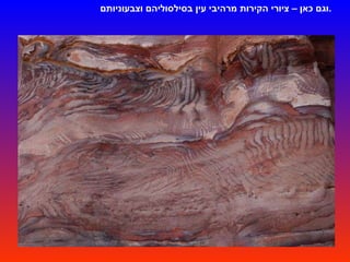 וגם כאן – ציורי הקירות מרהיבי עין בסילסוליהם וצבעוניותם . 