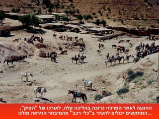 ההגעה לאתר המרכזי כרוכה בהליכה קלה ,  לאורכו של  " הסיק ",  המתקשים יכולים להעזר ב " כלי רכב "  מהמיבחר הניראה מולנו ... 