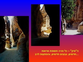 ה " סיק " –  כל פניה חושפת מראות חדשים ,  צבעים חדשים ,  והפתעות לרב ... 