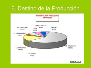 6. Destino de la Producción 