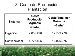 8. Costo de Producción: Plantación Sistema Costo Producción Agrícola  (Gs/ha) Costo Total con Cosecha  (Gs/ha) Orgánico 7.039.270 12.799.270 Convencional 5.726.825 12.026.075 