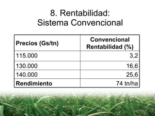 8. Rentabilidad: Sistema Convencional Precios (Gs/tn) Convencional Rentabilidad (%) 115.000 3,2 130.000 16,6 140.000 25,6 Rendimiento 74 tn/ha 