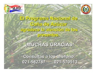 ¡MUCHAS GRACIAS! Consultas a los teléfono:  021-582787  021-570513 El Programa Nacional de Caña de Azúcar agradece la atención de los presentes. 
