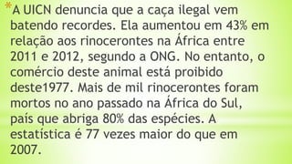 *A UICN denuncia que a caça ilegal vem
batendo recordes. Ela aumentou em 43% em
relação aos rinocerontes na África entre
2011 e 2012, segundo a ONG. No entanto, o
comércio deste animal está proibido
deste1977. Mais de mil rinocerontes foram
mortos no ano passado na África do Sul,
país que abriga 80% das espécies. A
estatística é 77 vezes maior do que em
2007.
 