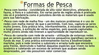 *
* -Pesca com bomba – considerada de alto valor destrutivo, afetando a
fauna, a flora e o substrato. Em varias parte da região ainda é praticada
não só é predatória como é poluidora devido os materiais que é usado
para sua fabricação.
*-Pesca com rede de malha fina – um dos maiores problemas é o uso de
redes com malha menor do que o permitido. Com isso, captura-se seres
muito jovens. Esta prática leva, inevitavelmente, à escassez de peixes e,
a longo prazo, à extinção de várias espécies, pois quando capturados
muito jovens ainda não tiveram a oportunidade de reproduzir-se.
*-Pesca do camarão com rede de arrasto – utilização de extensas redes
que ao serem puxadas entre dois barcos pesqueiros (parelhas) varrem o
fundo do mar. É uma prática extremamente nociva à biodiversidade
marinha, pois a rede revolve o substrato e arrasta tudo que encontra
pela frente, destruindo o habitat daquelas espécies que vivem no leito
oceânico e coletando um excesso de animais que acabam sendo
desprezados, por não possuírem valor comercial.
 