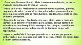 * -Pesca com Venenos (timbó): Afeta todo o meio ambiente, inclusive
trazendo complicações diretas ao Homem.
* -Pesca de Curral – Praticamente apreende todos os peixes, grandes,
pequenos, de valor comercial ou não; e impedem que os cardumes
passem pelos canais para se reproduzirem, condenando o ciclo de vida
de forma predatória.
*-Tapagem de Igarapé – Realizado com talas, cipós, varas e rede nos
igarapés não podem ser utilizados para a pesca, porque agridem os
animais e trazem desequilíbrio ecológico. Isso porque, todo tipo de
animal aquático é preso. Independente do tamanho ou período
reprodutivo.
* -A pesca predatória é feita por pescadores e também por grandes
embarcações, pois na época que está no defeso, entram em nossos lagos
e levam bastante pescado.
 